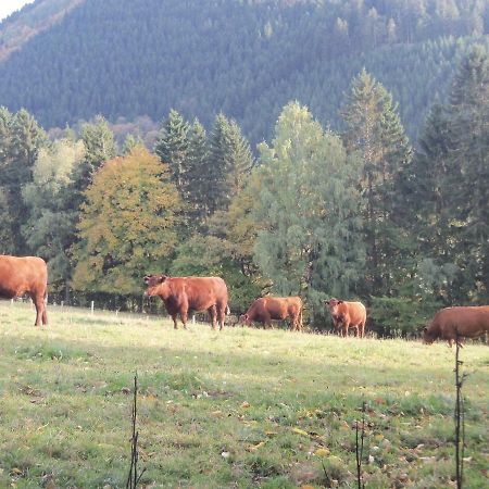 Apartamento Urlaub Auf Dem Bauernhof Netphen Exterior foto